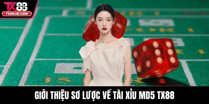 Giới thiệu sơ lược về tài xỉu MD5 TX88