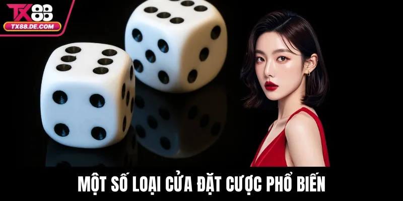 Một số loại cửa đặt cược phổ biến