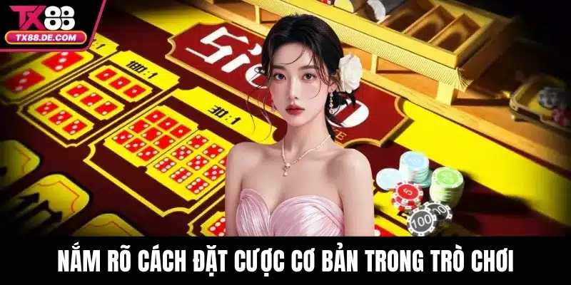 Nắm rõ cách đặt cược cơ bản trong trò chơi